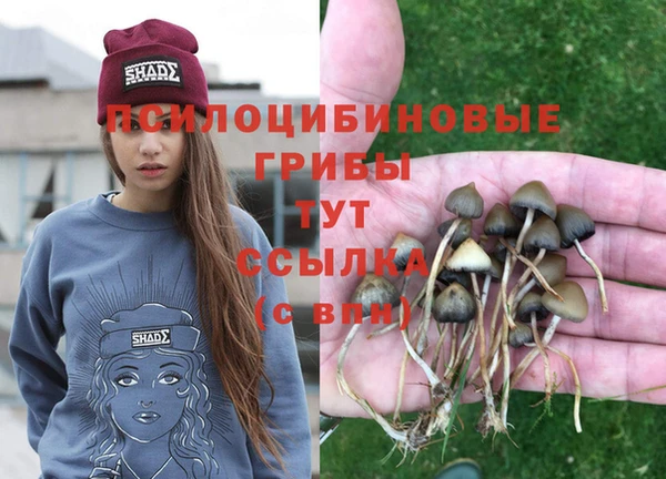 Альфа ПВП Гусь-Хрустальный