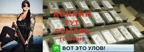 амф Гусиноозёрск