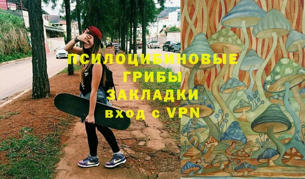 Альфа ПВП Гусь-Хрустальный