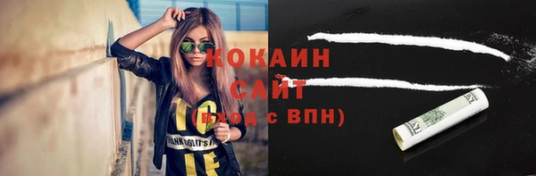 амф Гусиноозёрск
