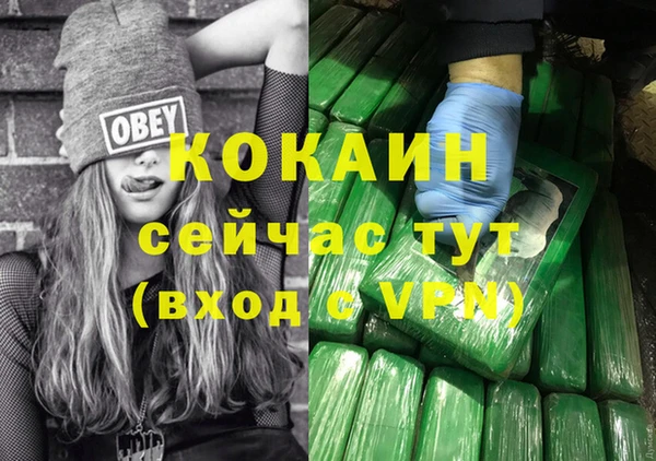 амф Гусиноозёрск