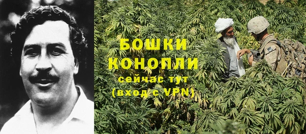 Альфа ПВП Гусь-Хрустальный