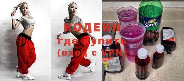 амф Гусиноозёрск