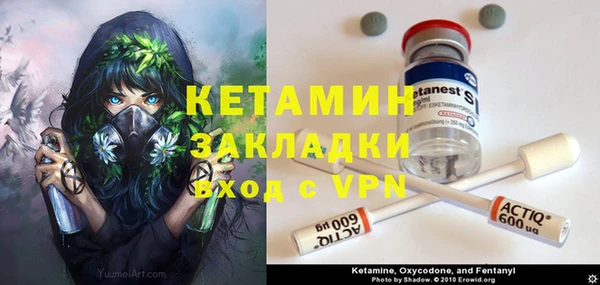 амф Гусиноозёрск