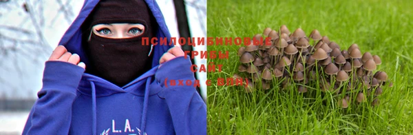 mdma Гусев