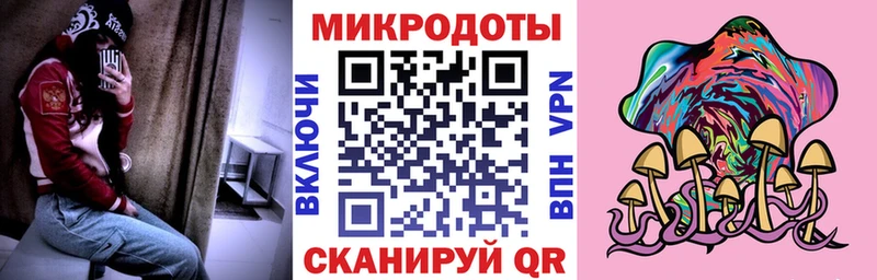 Псилоцибиновые грибы Psilocybine cubensis  Ростов-на-Дону 
